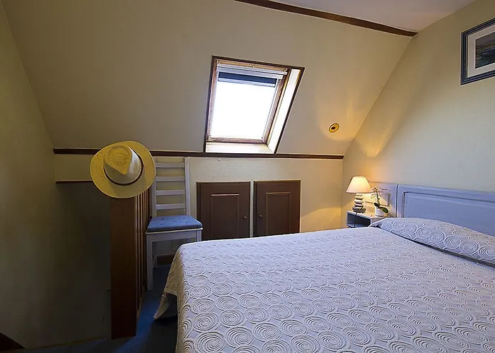 Hotel Le Dauphin