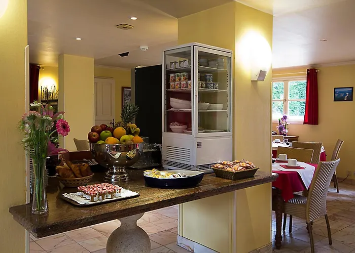Hotel Le Dauphin 3*