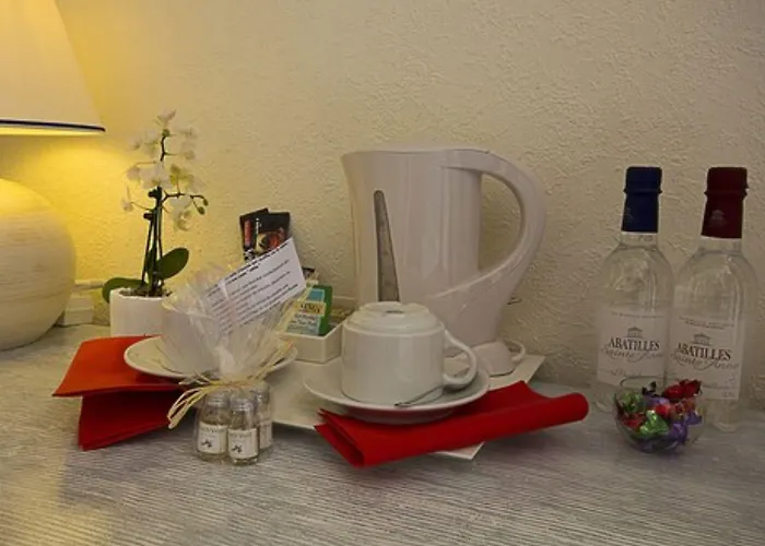 Hotel Le Dauphin Arcachón